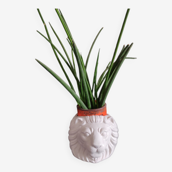 White cracked ceramic lion plant pot