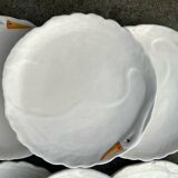 Series of very large swan barbotine plates