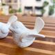 Salière et poivrière en porcelaine motif oiseaux