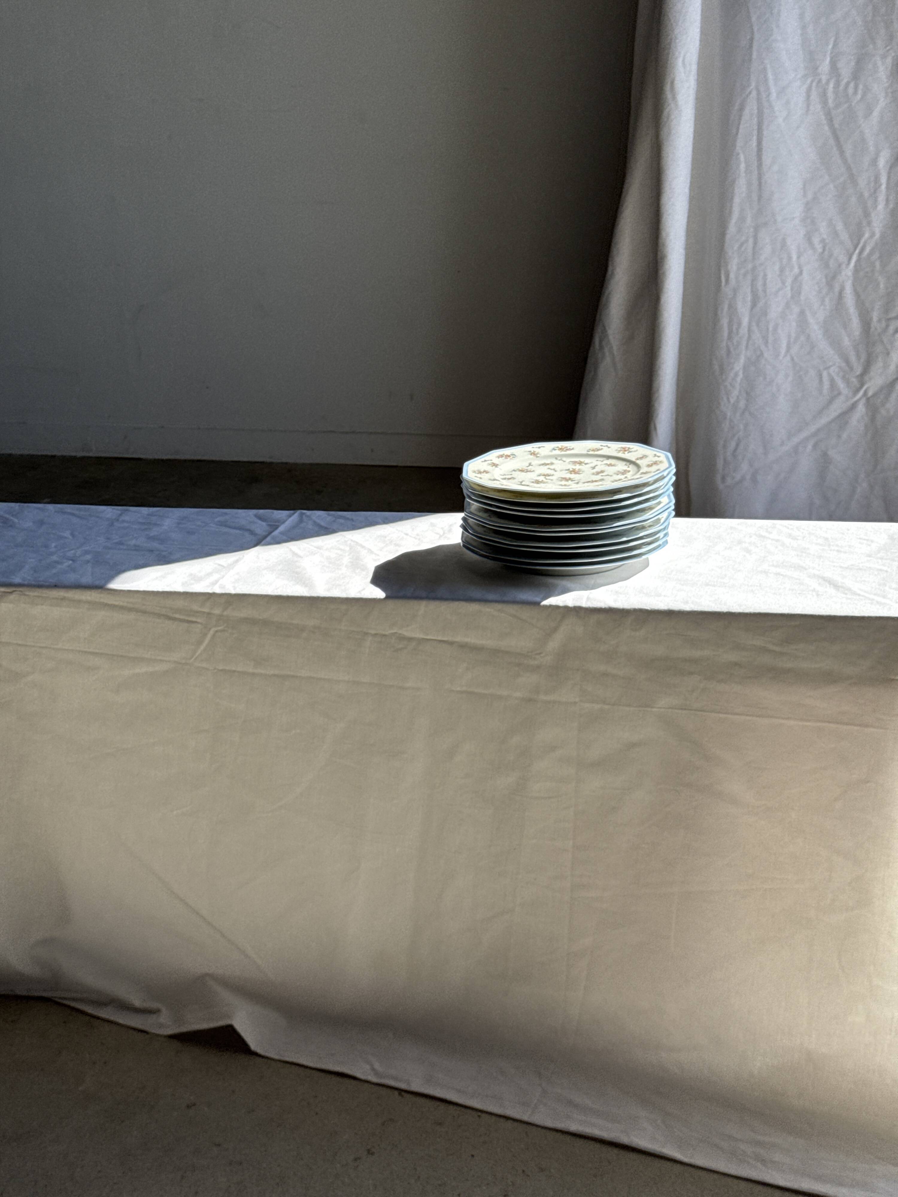 Set of 10 flat plates in Limoges porcelain from France with flowers.