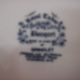 5 Royal Tudor dessert plates, English porcelain