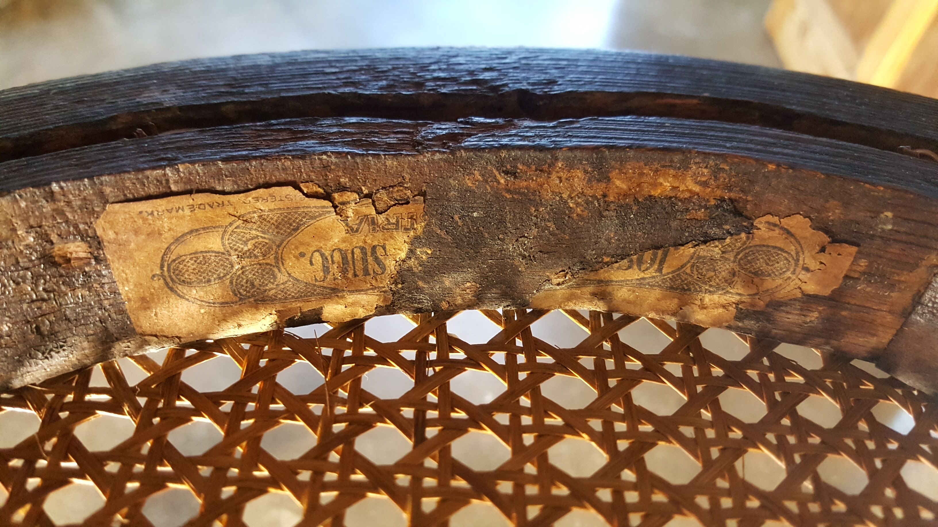 Josef Hoffman Cane Chair 1900