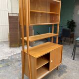 Scandinavian library