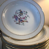 24 fine porcelain plates