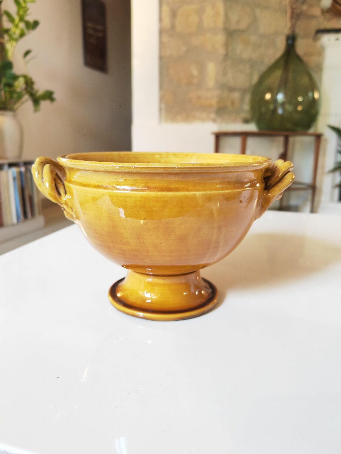 Coupe Aegitna Vallauris