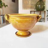 Coupe Aegitna Vallauris