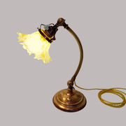 Lamp - foot in weighted brass Swungeneck adjustable with its acid-engraved crystal lampshade