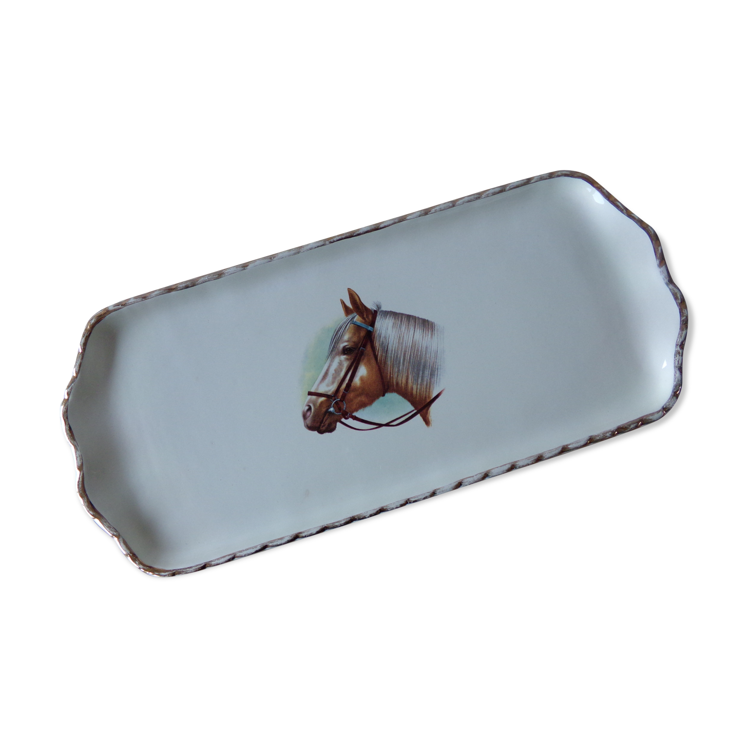 Cake dish platter in Salins earthenware