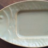Fish shaped dish