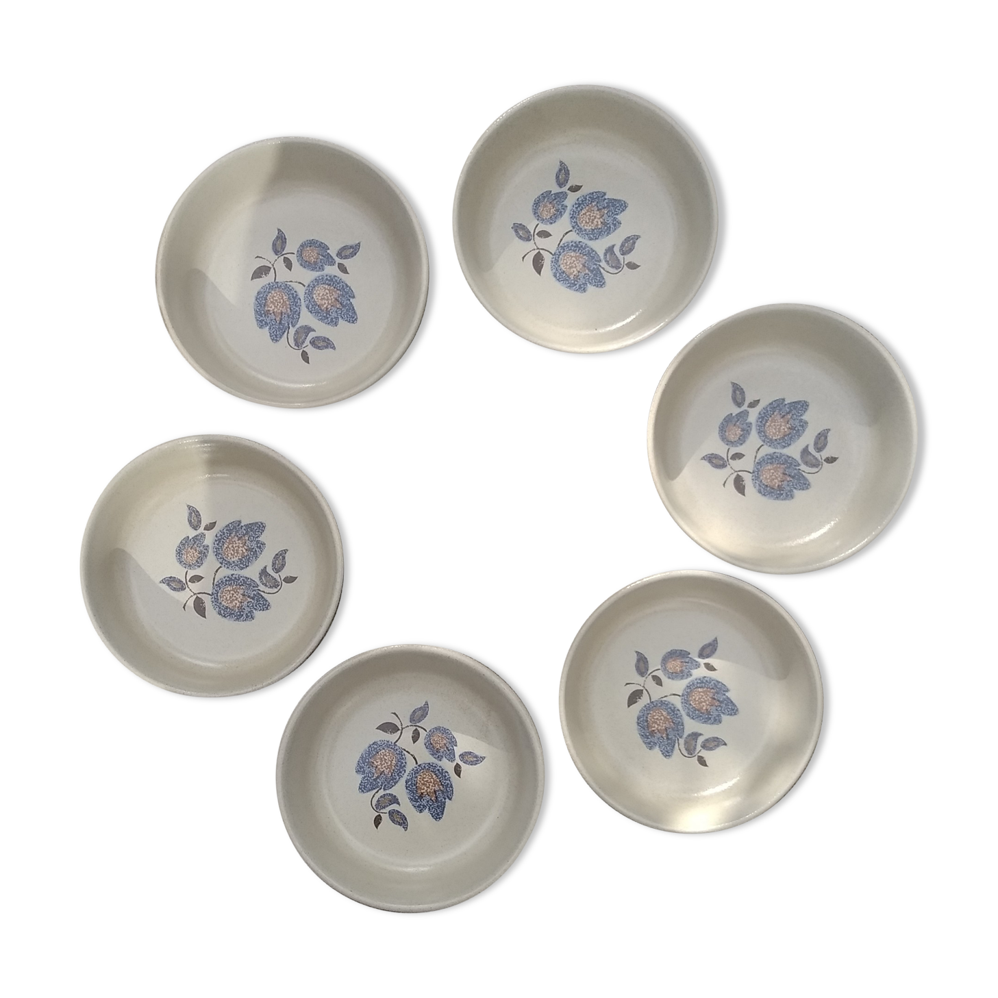 6 hollow plates Faïence St Amand "Sologne"