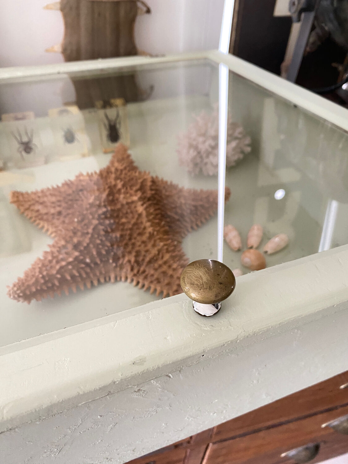 Display case with double glass