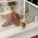 Display case with double glass