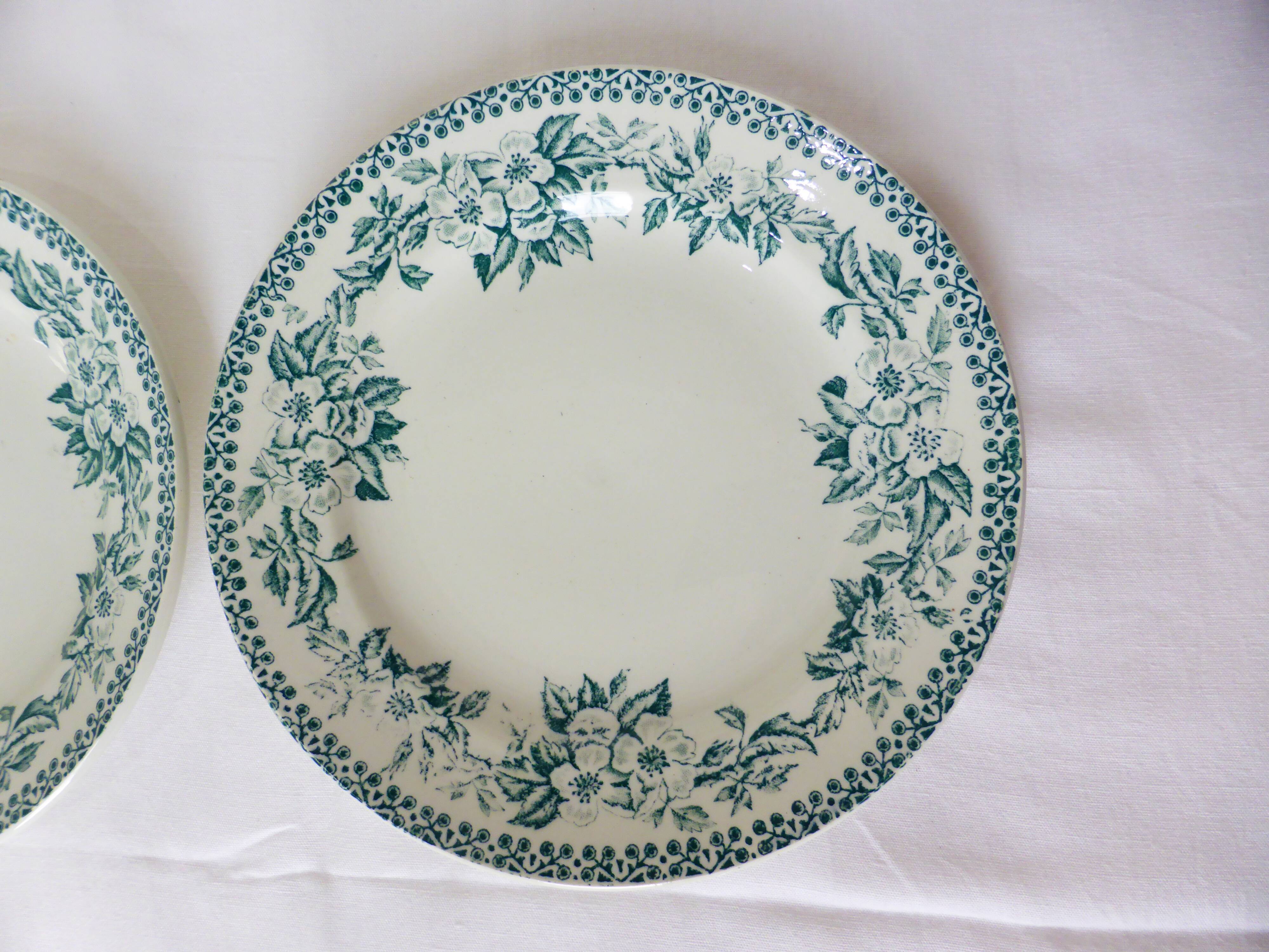 2 vintage dessert plates of St Amand model Guadeloupe