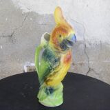 Cockatoo pitcher St Clement