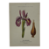 Gravure naturaliste planche botanique Française 19eme double face