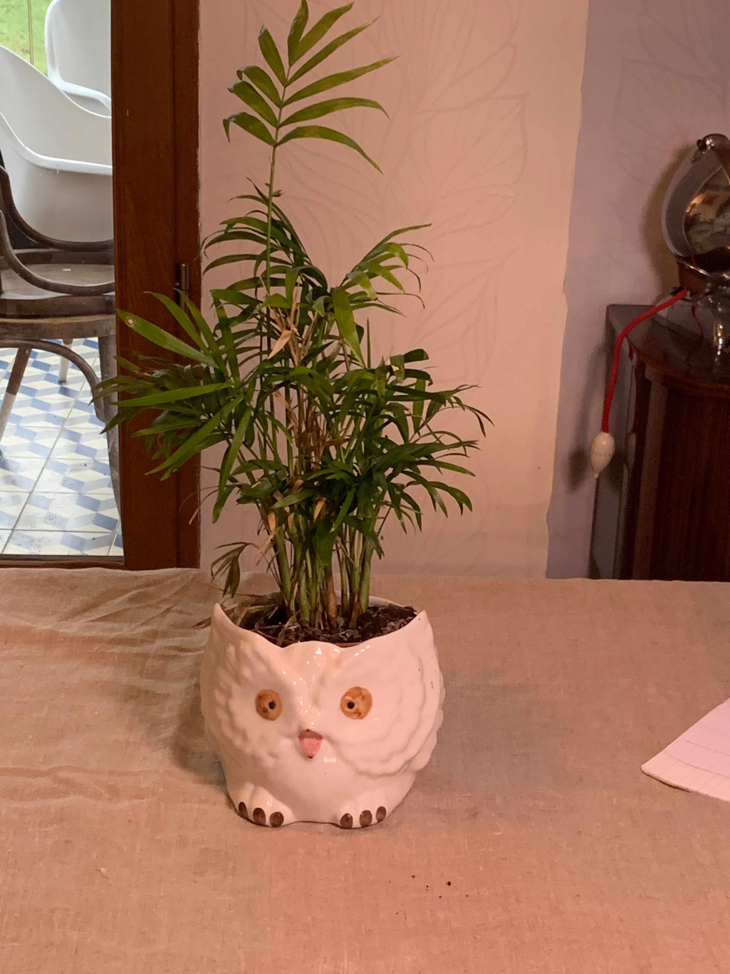 Cache pot owl glazed ceramic white slip earthenware siol Portugal