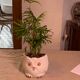 Cache pot owl glazed ceramic white slip earthenware siol Portugal