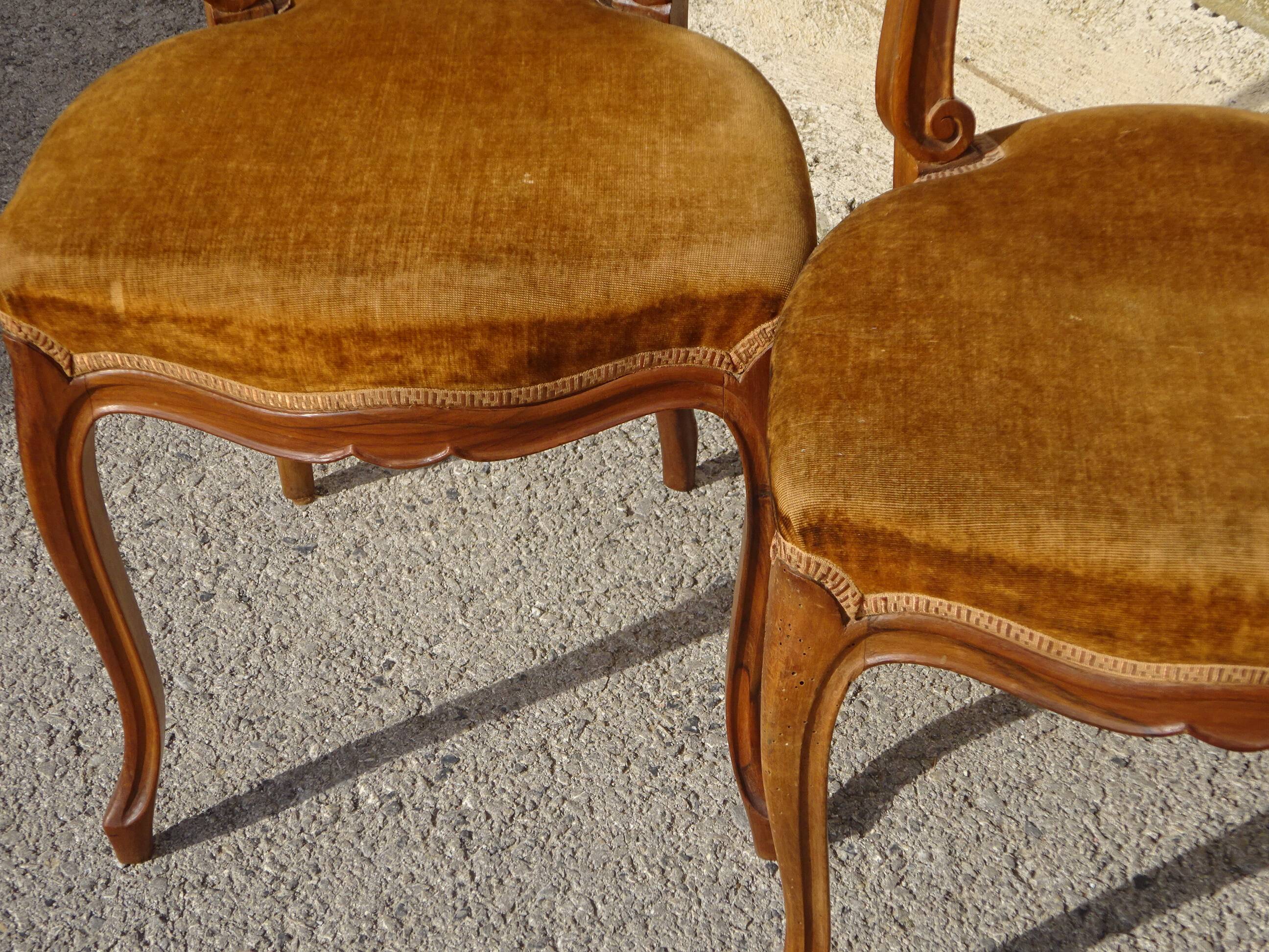 2 old chairs in walnut and velvet