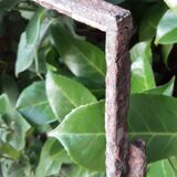 Industrial arched metal window L128xH114 19th century glass roof 2 leaves