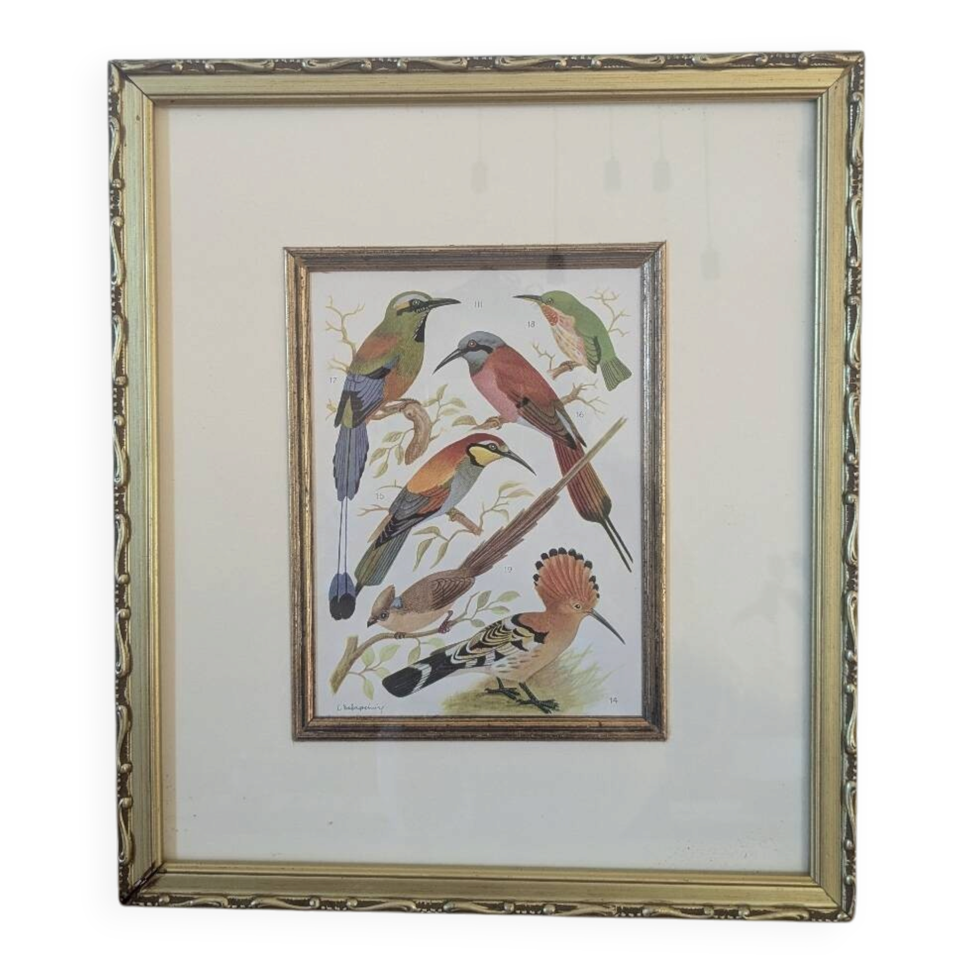 Lithographic frame of birds