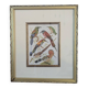 Cadre lithographique d'oiseaux