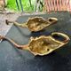 4 lion coat hooks in solid brass Art Nouveau
