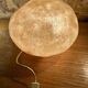 Lampe Dora cazenave