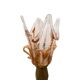 Lampe française en laiton style milieu du siècle avec abat-jour tulipe, années 1950