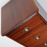 Dutch Industrial Mahogany Apothecary Cabinet, Mid-20th Century