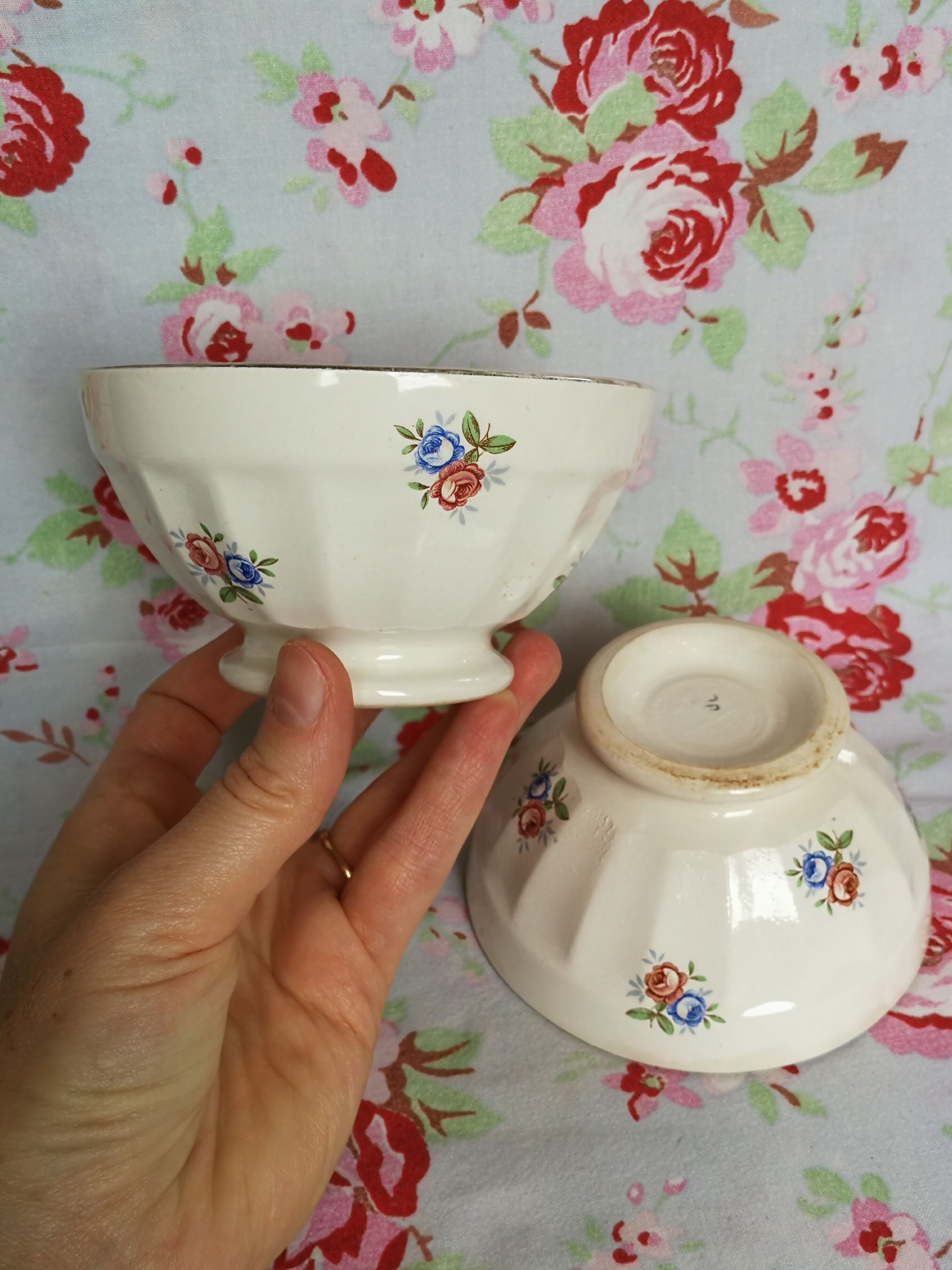 2 old Badonviller bowls to walk with vintage flowers