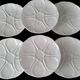 6 oyster plates in Limoges porcelain