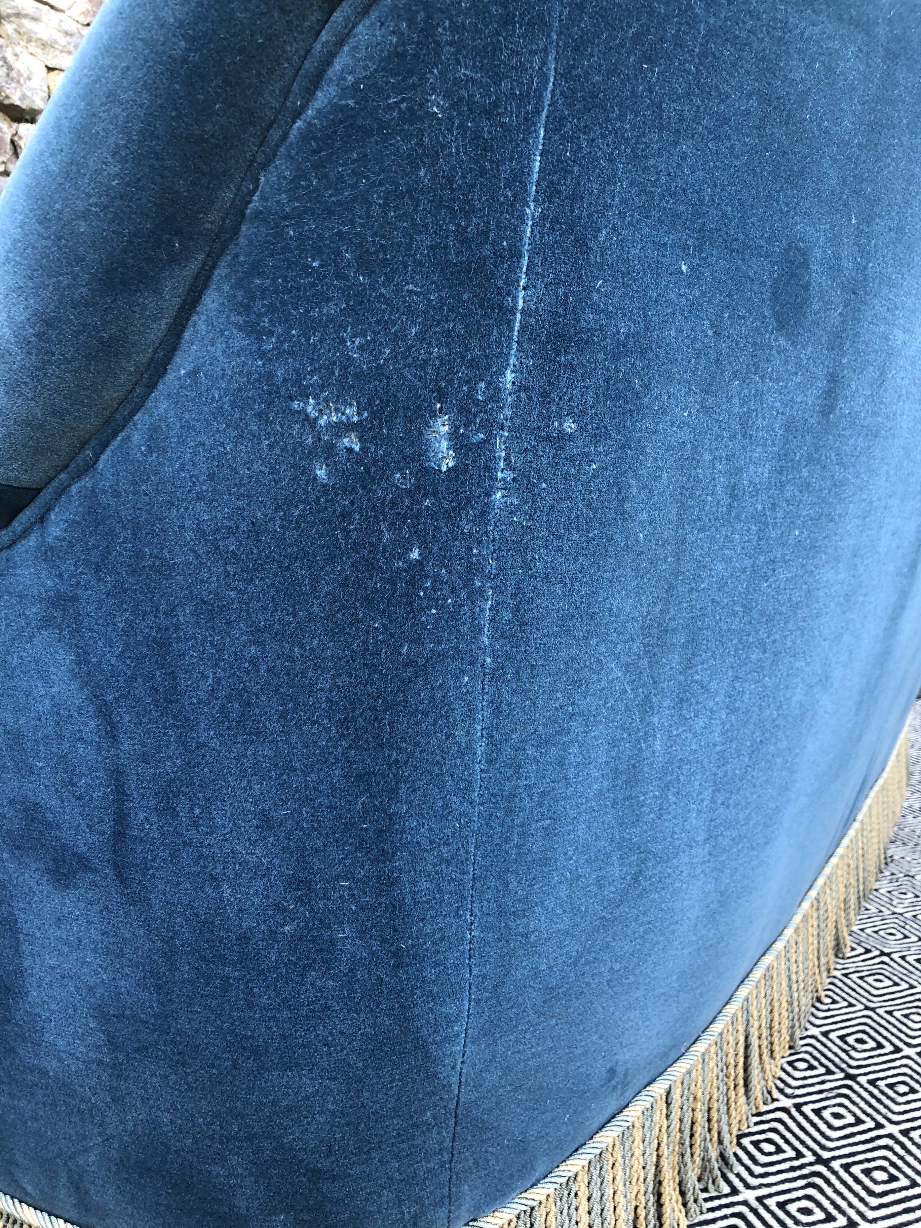 Blue velvet toad sofa