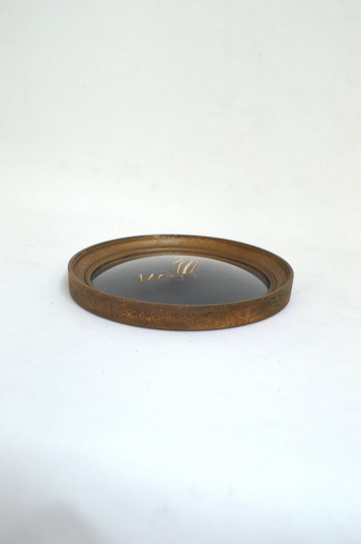 Butterfly frame under curved glass