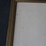 Framed engraving by PJ Redouté