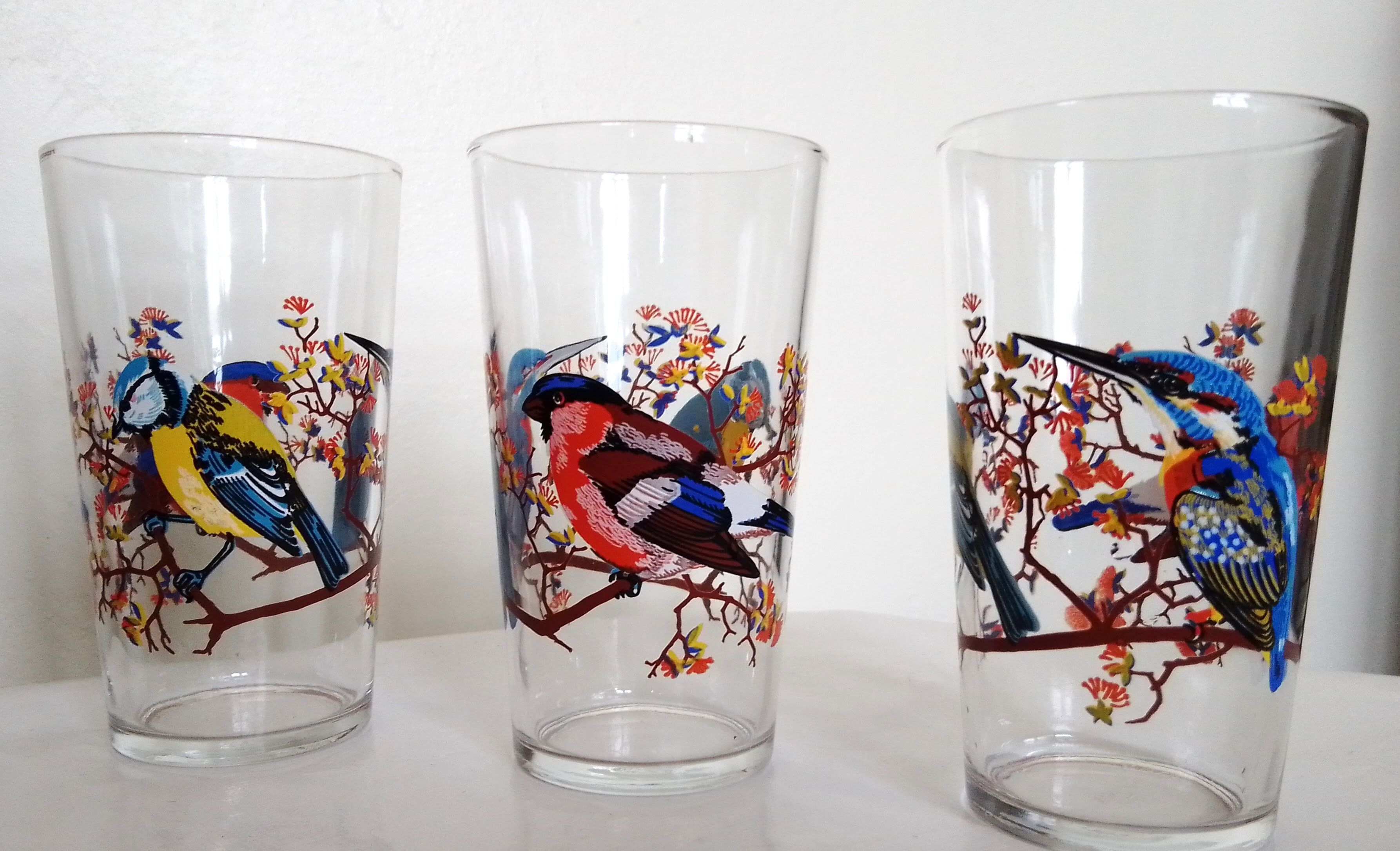 Set of 6 orangeade glasses seriographed "Birds"