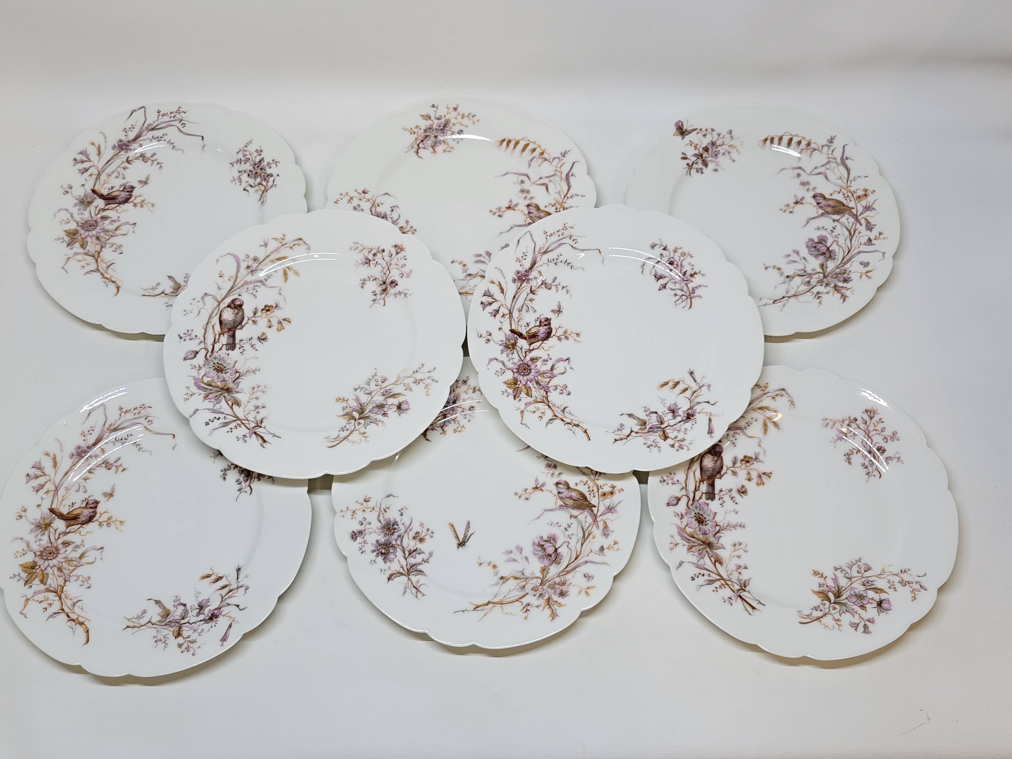 8 Superb Antique 19th Century Plates Decorated with Birds on Branches