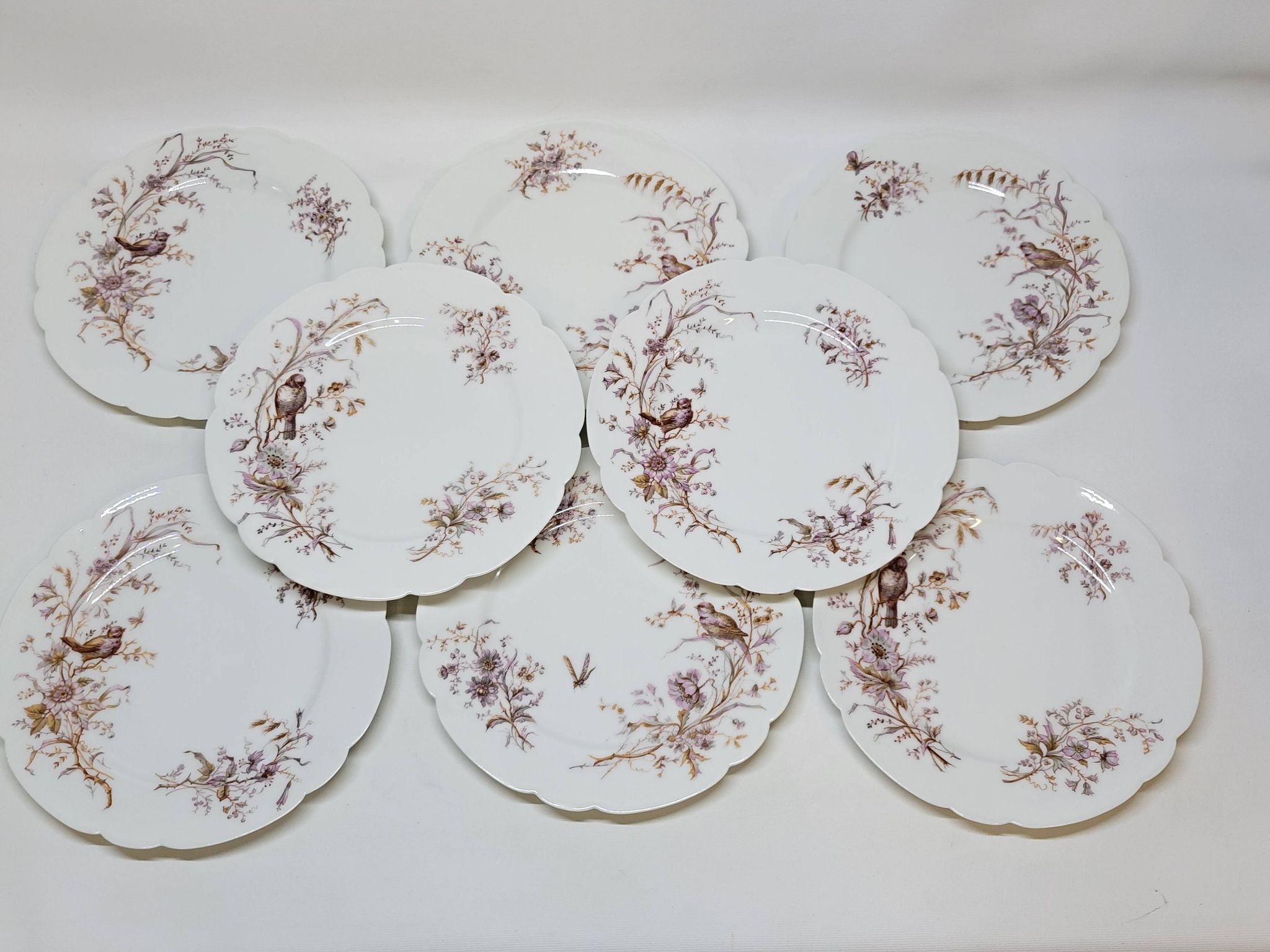 8 Superbes Assiettes Anciennes XIXème Décor Aux Oiseaux Sur Des Branches