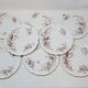 8 Superb Antique 19th Century Plates Decorated with Birds on Branches