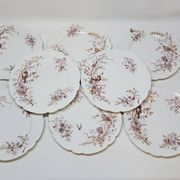 8 Superbes Assiettes Anciennes XIXème Décor Aux Oiseaux Sur Des Branches