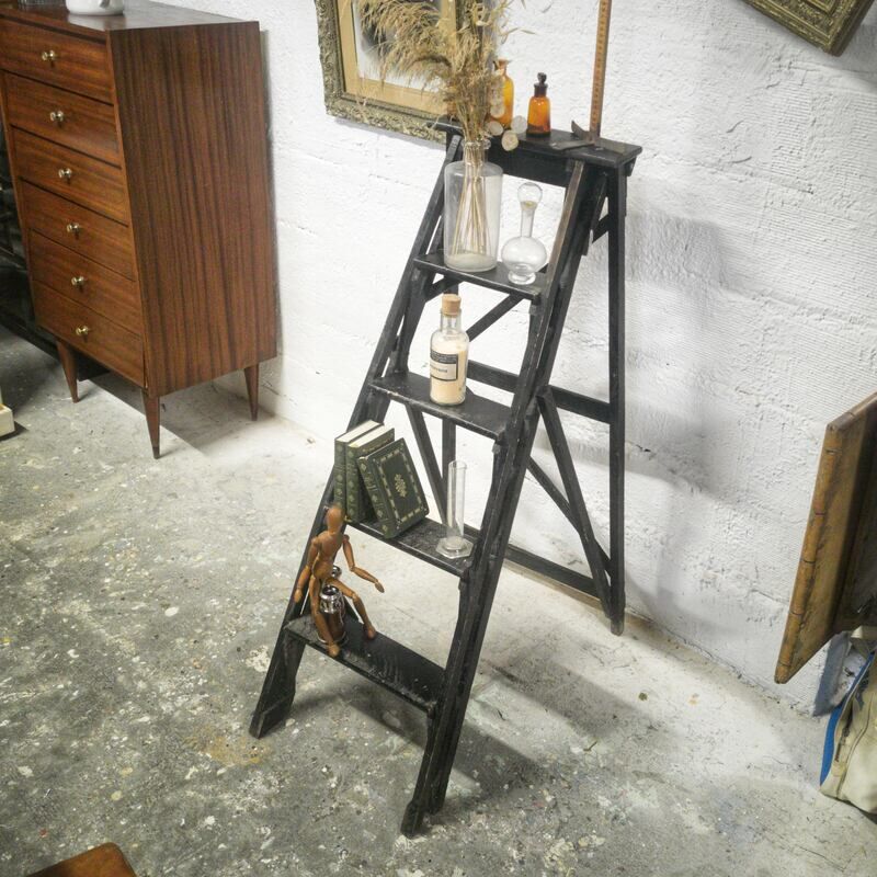 Library ladder