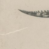 Antique engraving on reptiles: showing various crocodiles, Pl 2, 1828