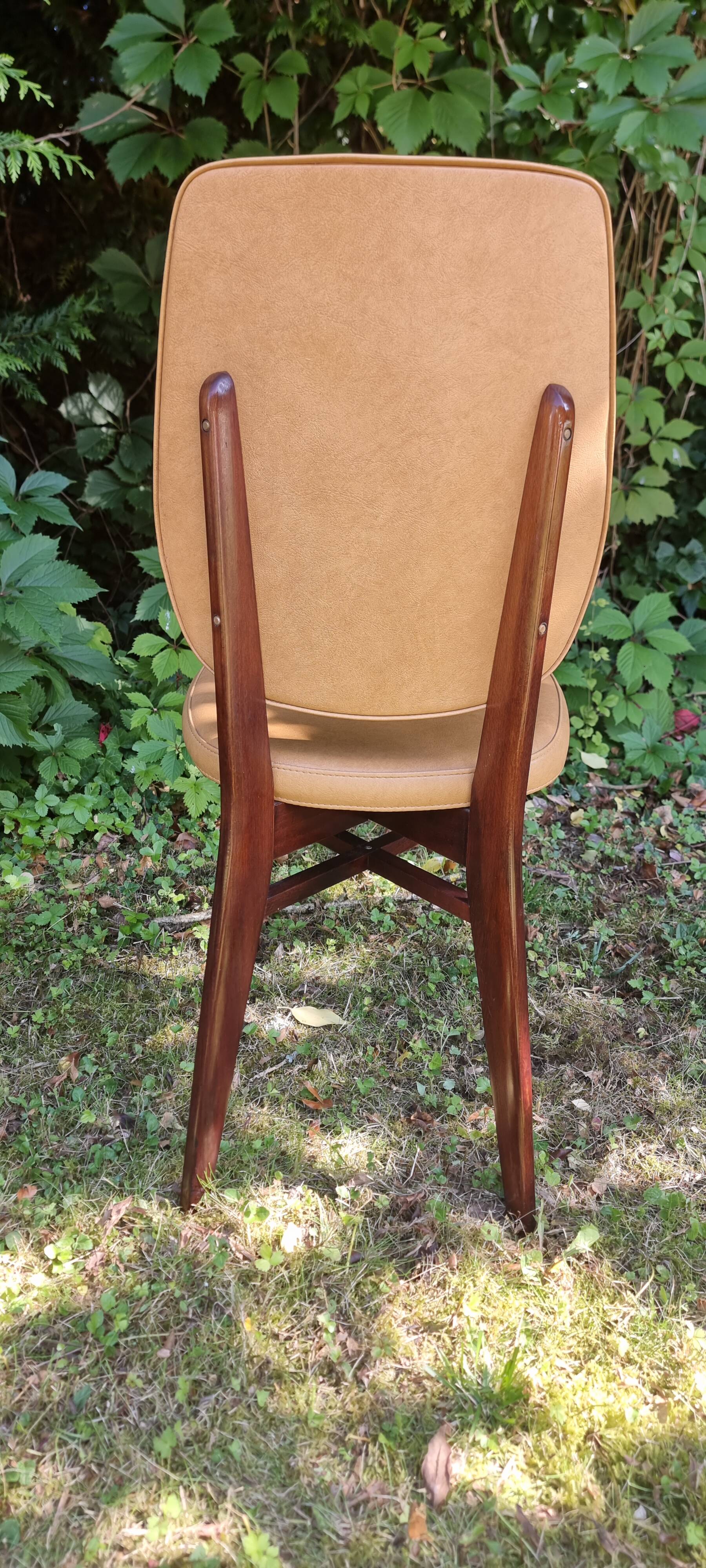 Set of 5 vintage chairs from the 50s