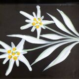 Edelweiss bowl