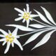 Coupelle ravier Edelweiss