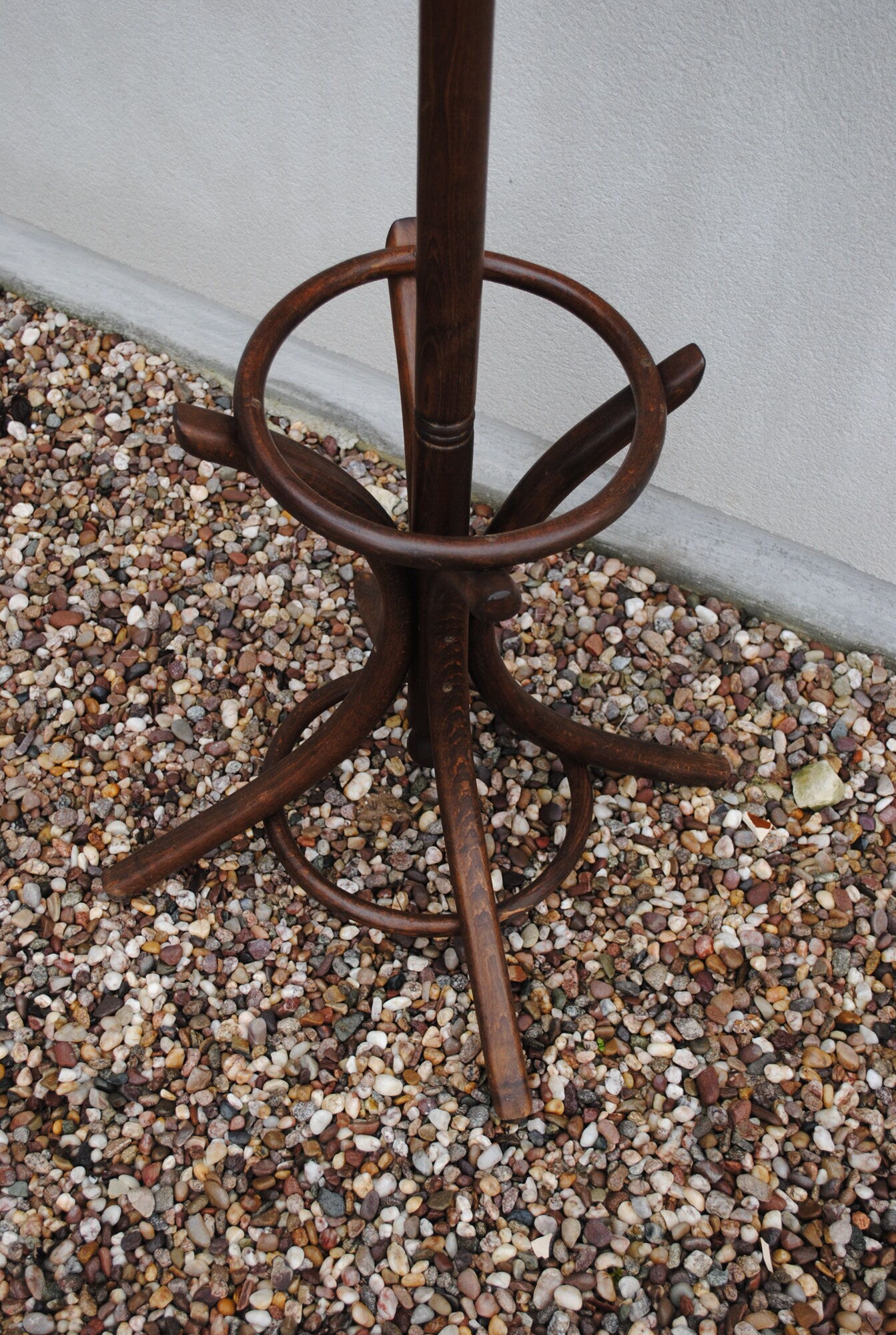 Parrot coat rack wood curved 1950s