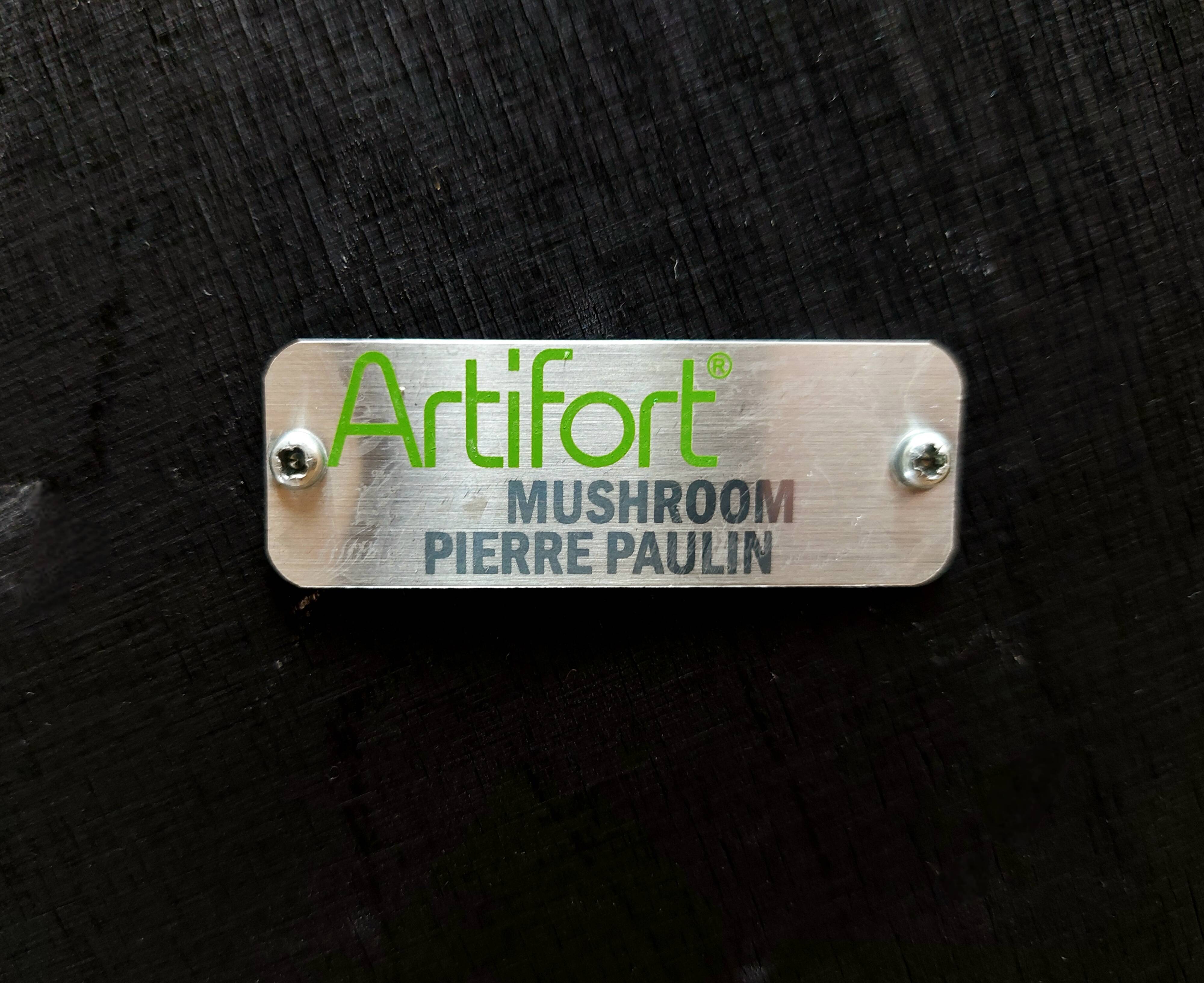 Mushroom Armchair Pierre Paulin Artifort