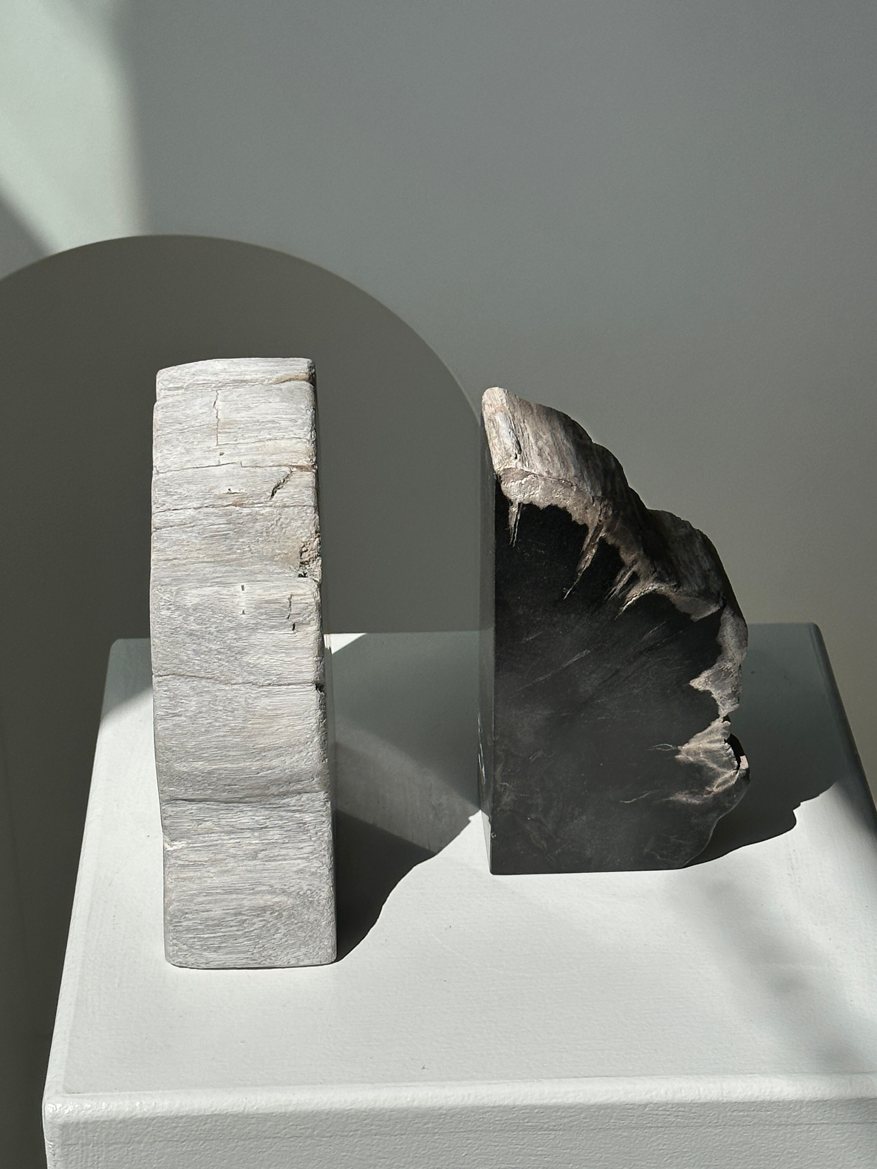 Black petrified wood bookend H17 L17 P6