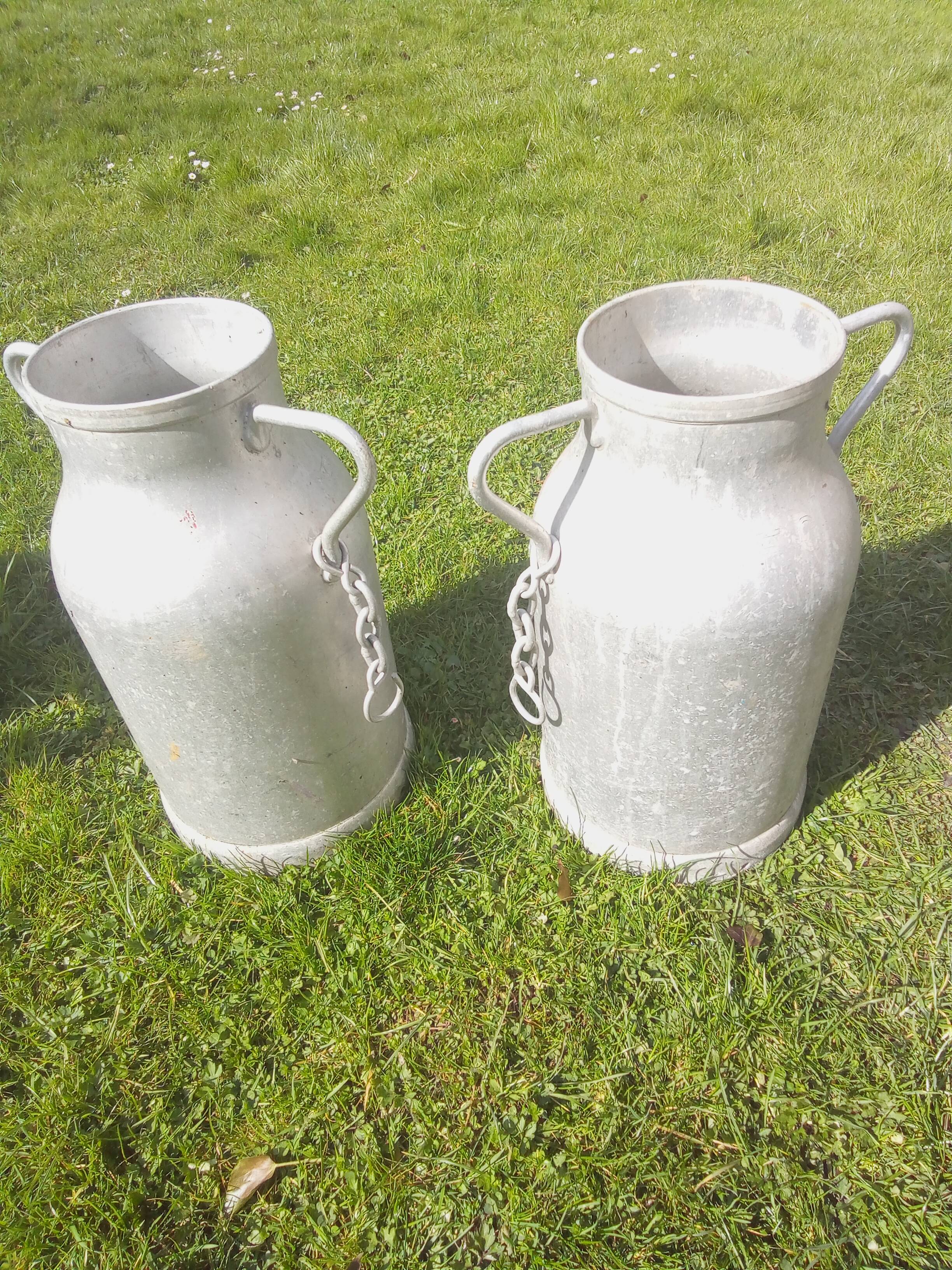 Pots of firm milk from the high Vosges