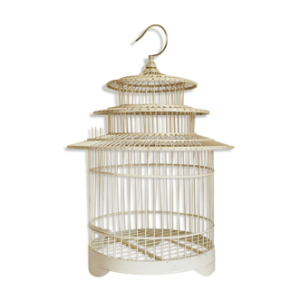 Cage bird