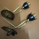 house wall light Lunel France 1950